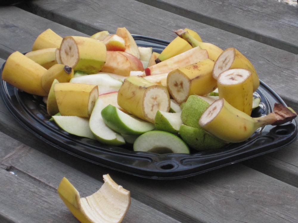 Vis 20100805 184547.jpg i fuld st�rrelse
